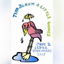 Tim Bluhm and Little Wings